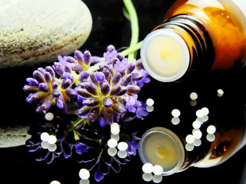 Atelier
Naturopathie